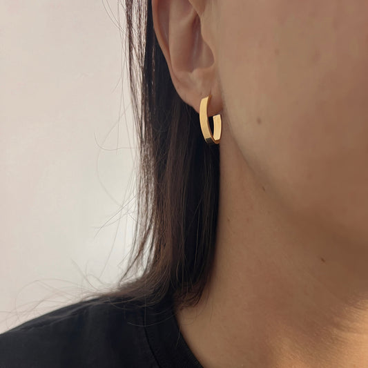 Charlie earrings